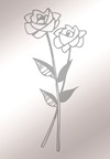 R072 R072
