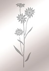 R121 R121
